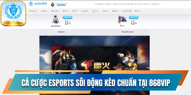 Cá cược eSports sôi động kèo chuẩn tại 868vip