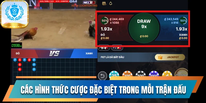 Theo Dõi Đá Gà 868vip Và Đặt Cược Để Nhận Thưởng Lớn 3 Các hình thức cược đặc biệt trong mỗi trận đấu