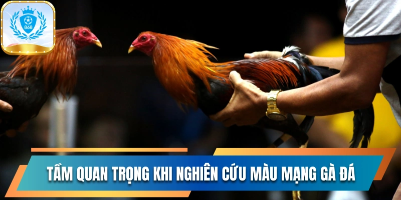 Tầm quan trọng khi nghiên cứu màu mạng gà đá