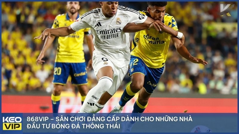 868vip – Sân chơi đẳng cấp dành cho những nhà đầu tư bóng đá thông thái.